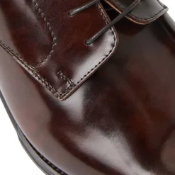 Bruno Magli Asti Traditional Dress Oxford Brown Hot