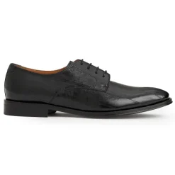 Bruno Magli Asti Traditional Dress Oxford Black Eel Discount