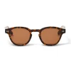 Bruno Magli Capri Sunglasses Tortoise Brown