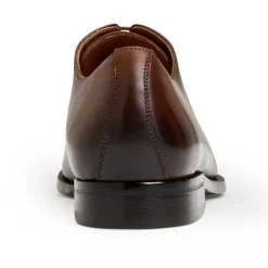 Bruno Magli Collezione Veleno Leather Oxford Brown New
