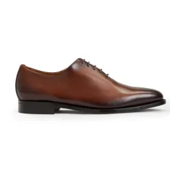 Bruno Magli Collezione Veleno Leather Oxford Brown New
