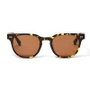 Bruno Magli Treviso Sunglasses Tortoise Brown Discount