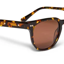 Bruno Magli Treviso Sunglasses Tortoise Brown Discount