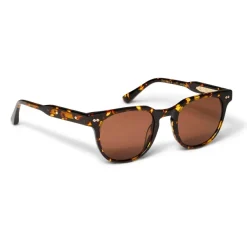 Bruno Magli Treviso Sunglasses Tortoise Brown Best